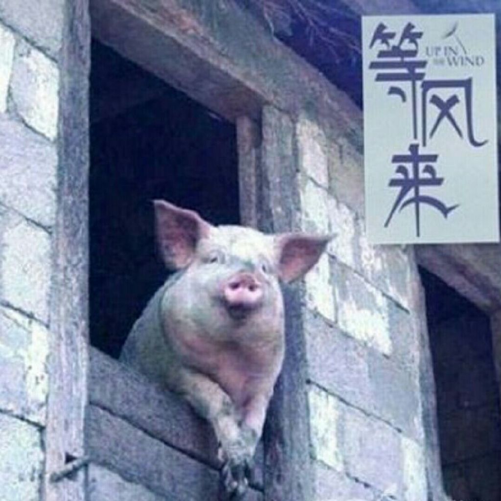 学校简介 第155页