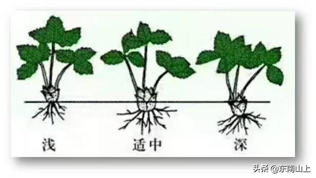 梓跃 第2页