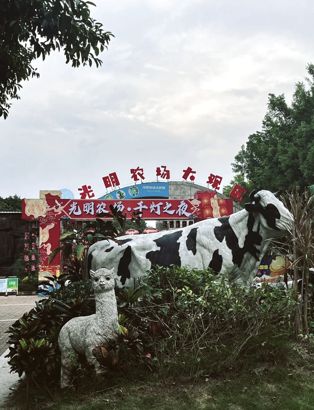 智修竹 第2页