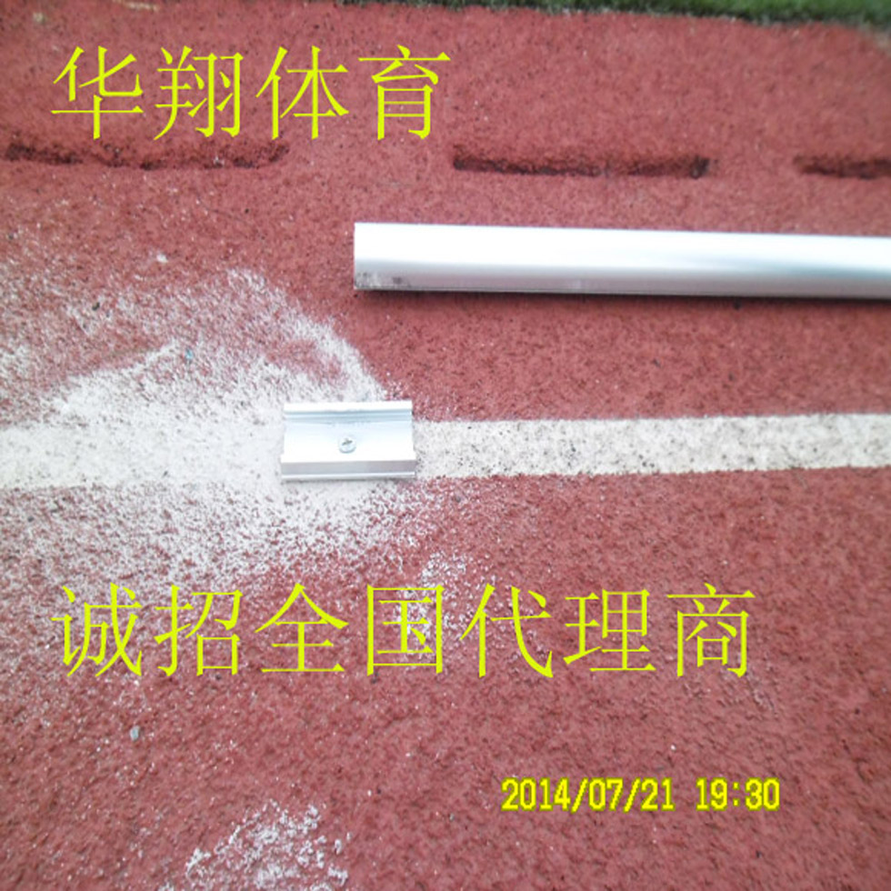 呼延如雪 第2页