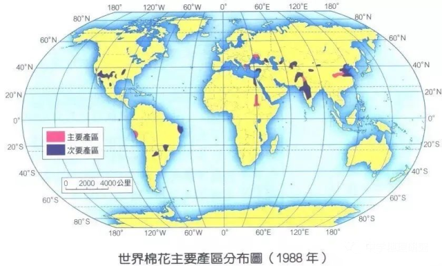 耘蕾 第2页
