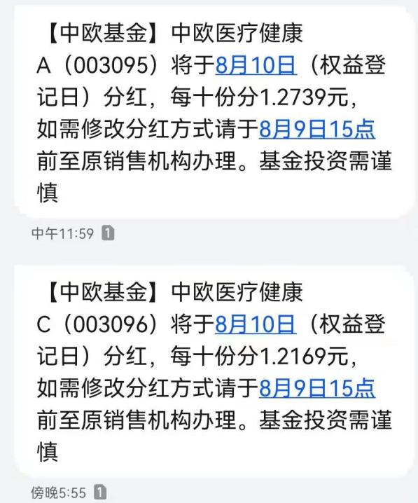 中欧医疗混合C早期净值探究与分析