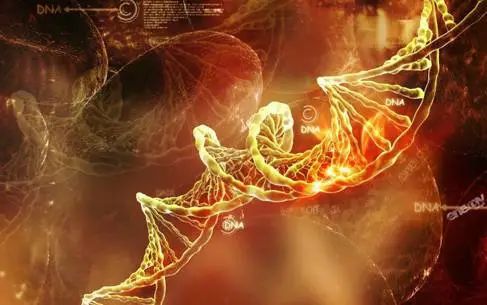 生物科技起源探索，生命起源与原始技术的交融