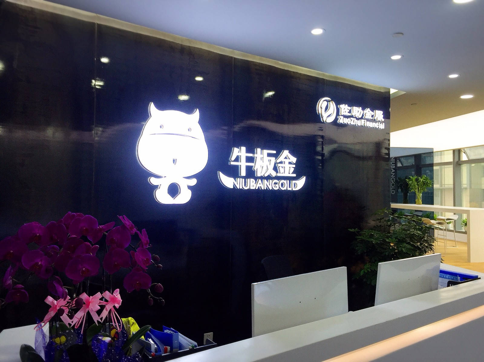 牛板金早期情况深度探究