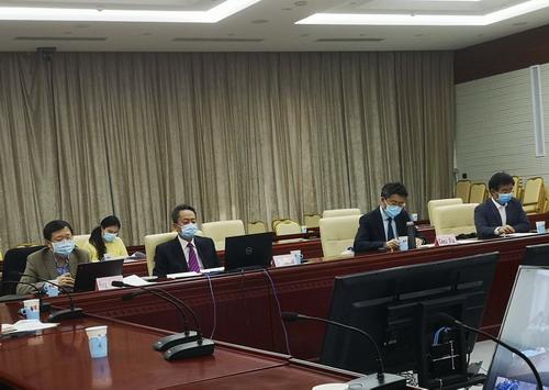揭秘非洲疫情起源与防控之路，早期报告揭示疫情真相