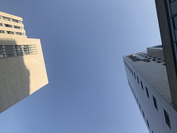 探索上海晨间气象面貌，今日天气与气象变迁