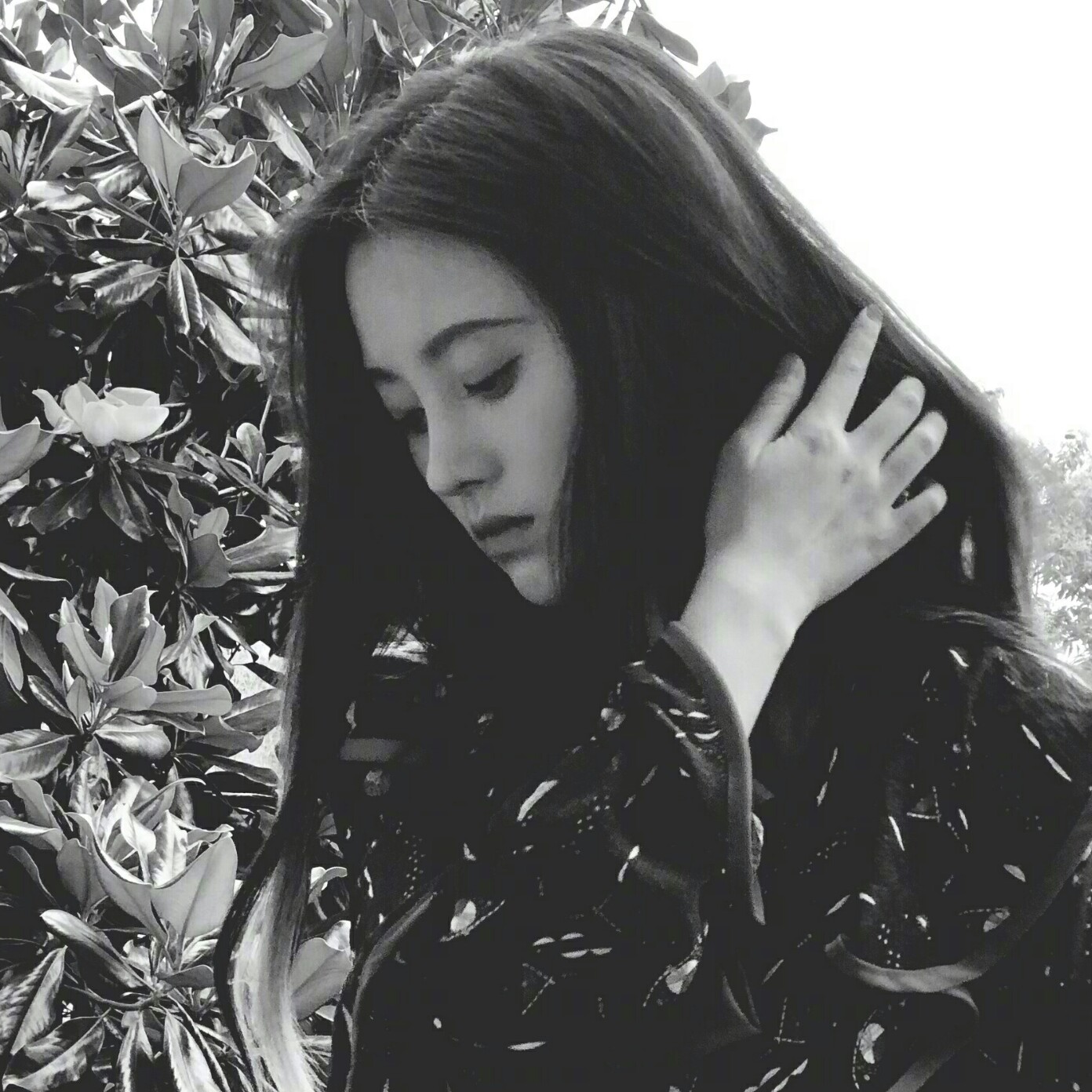 鞠婧祎早期黑色头像，探索与解析