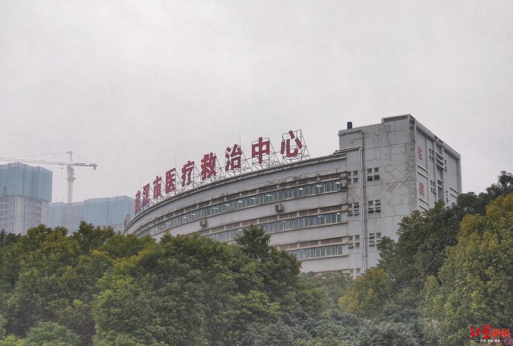 武汉冠状病毒疫情起源与早期发展概述，早期动态揭秘