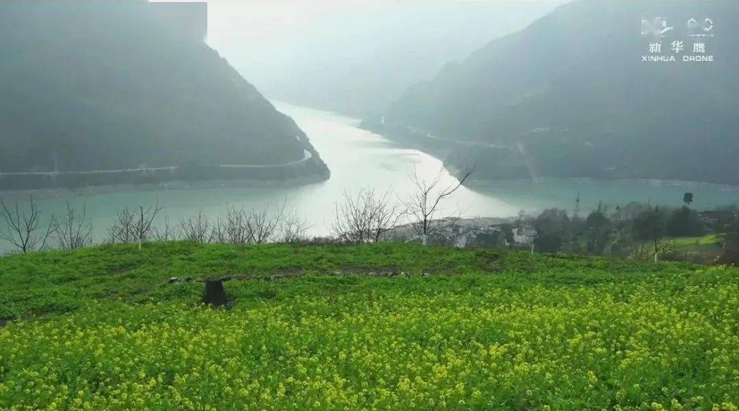 陇南文县历史探究，早期情况探讨