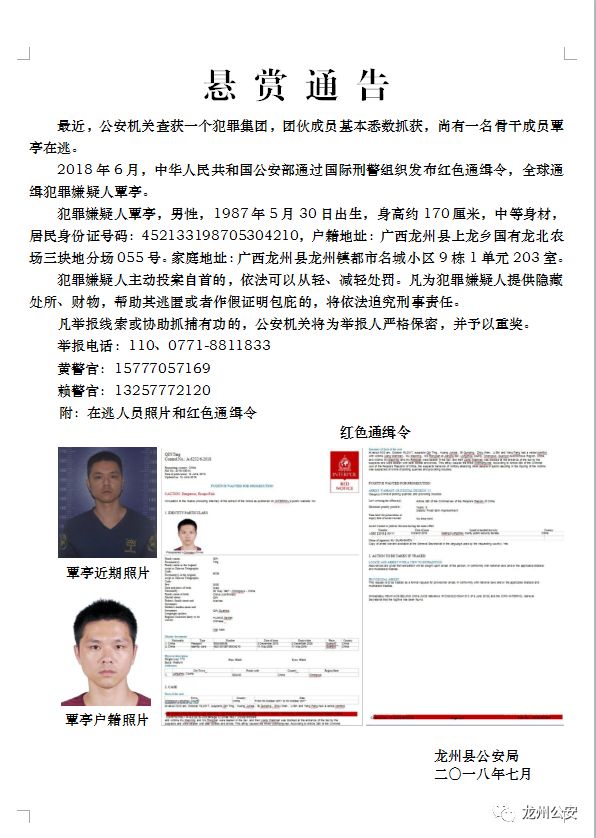 数字时代的犯罪追踪与挑战，聚焦2025年最早通缉令
