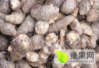 山东安丘芋头早期价格及其市场影响力分析