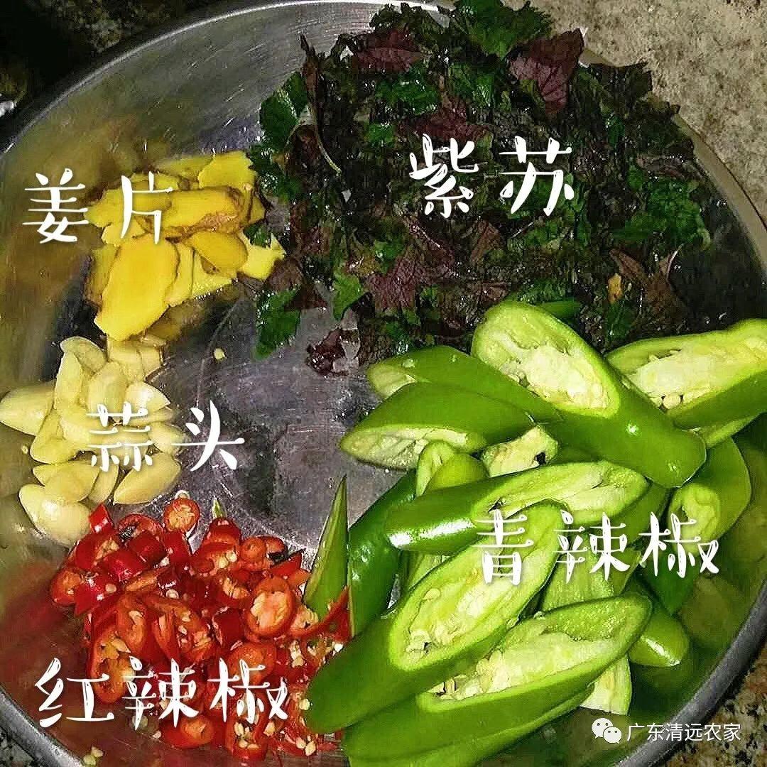 捷柔