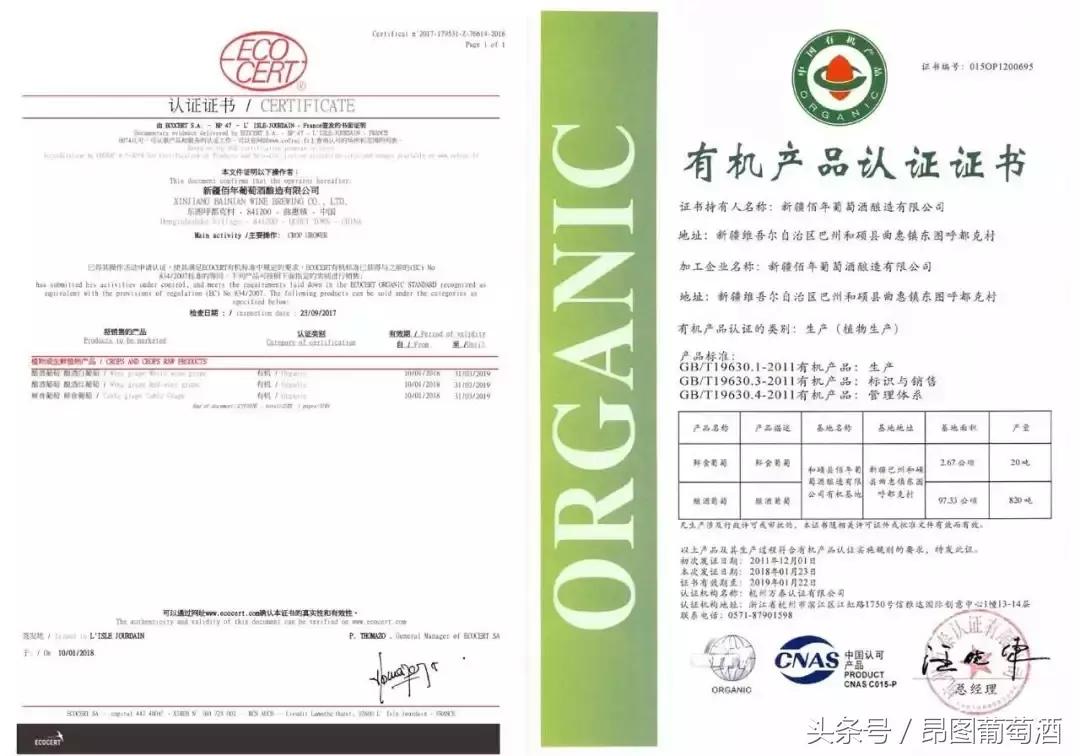 三佰汇的起源与早期情况概述