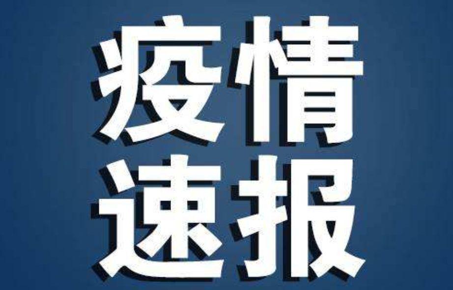 山西今日疫情最新动态，新冠病毒状况分析与早期新冠状疫情回顾