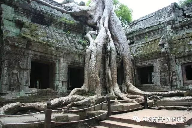 揭开历史面纱，西哈努克的最早动态探索
