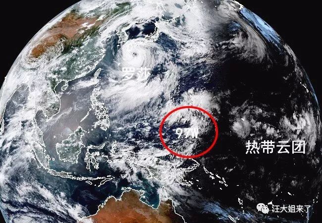 美杜莎台风最早情况深度解析与探讨