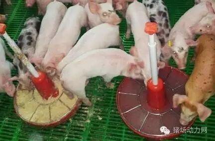 温饲最早情况的探究与解析