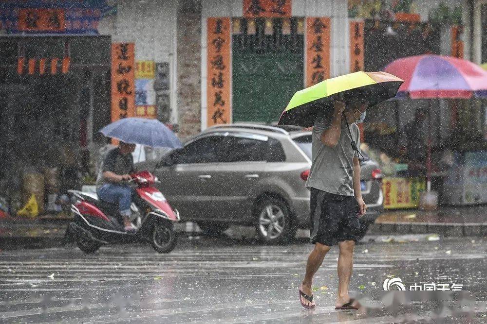 台风鹦鹉登陆广东，历史风暴的应对之道