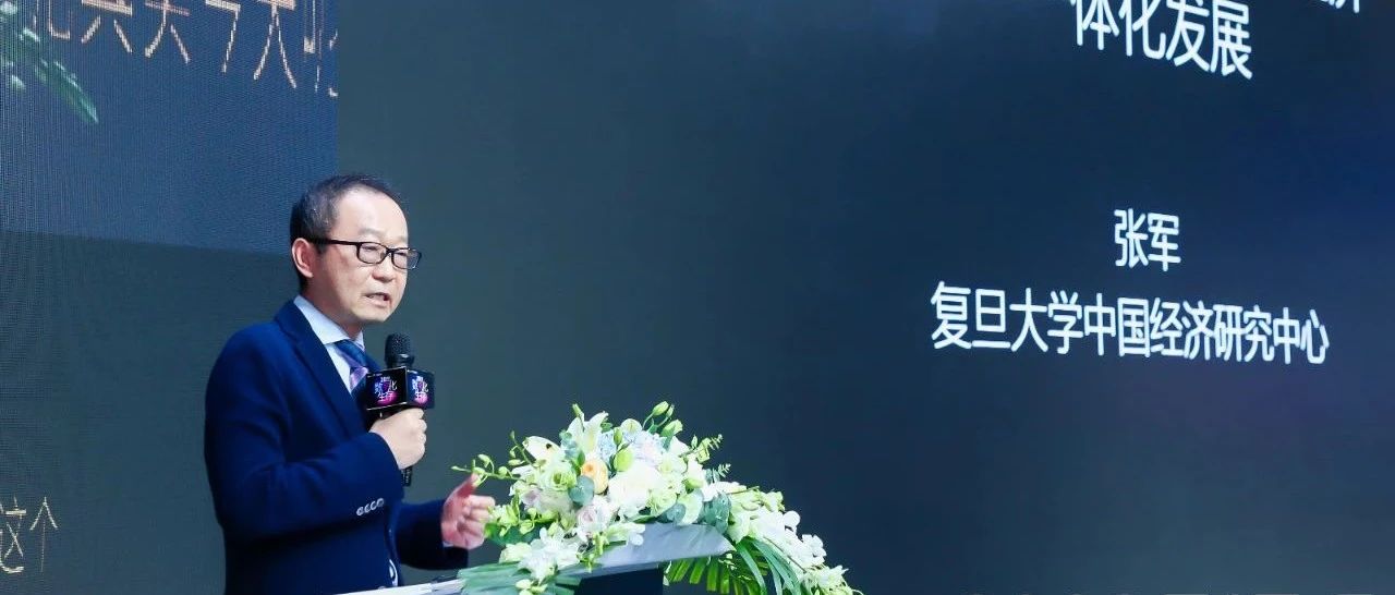 复旦大学张军，开创先河的最早领军人物