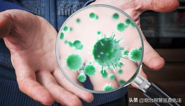 揭秘新型冠状病毒起源、传播与影响，实时追踪冠状病毒最新情况