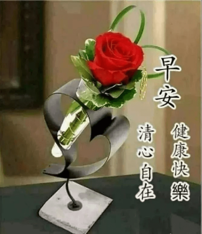 美莎克最早图像探索，历史与科学的交汇点揭秘