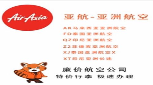 乐桃早期政策，引领教育变革的先锋行动