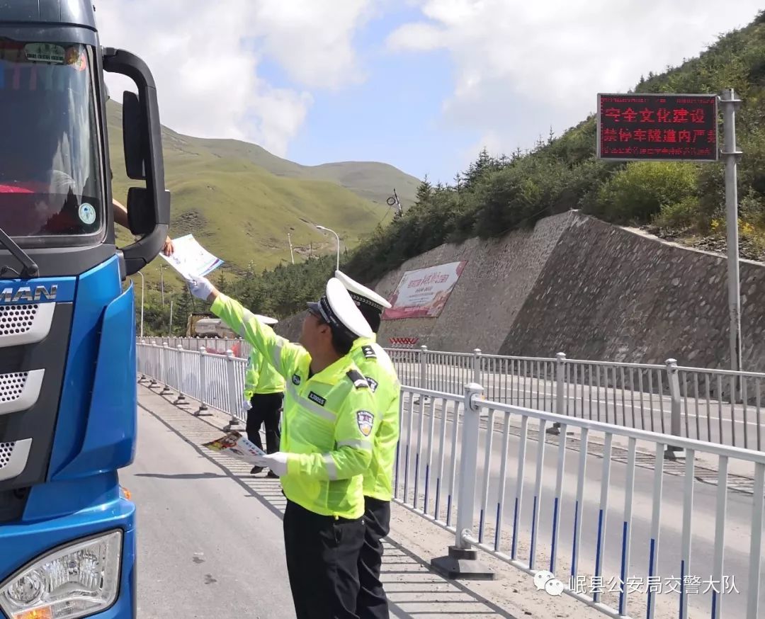 岷县交通事故早期事件深度解析与反思