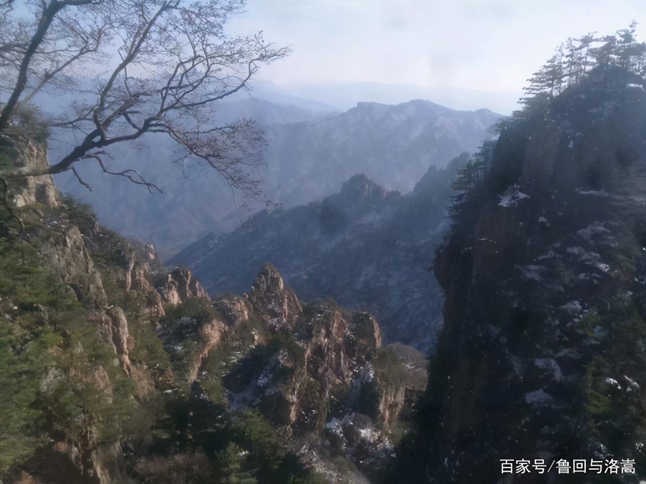 宫恨荷