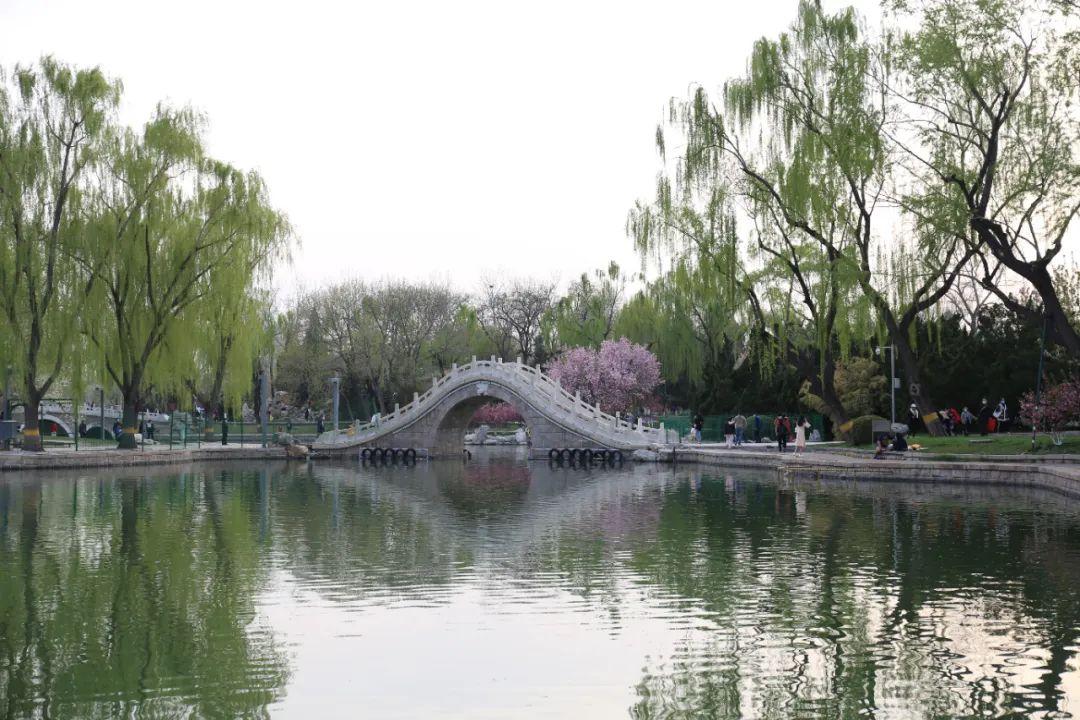 北京疫情防控政策实践及其启示，早期经验与启示