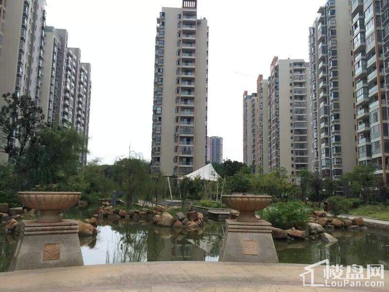 邳州东方名郡早期价格轨迹揭秘
